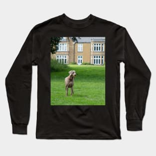 Dog with a ball playing in the park Long Sleeve T-Shirt